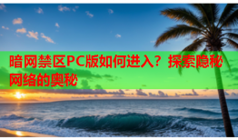 暗网禁区PC版如何进入？探索隐秘网络的奥秘