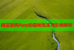 暗区禁网App的隐秘危害与影响解析