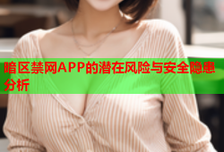 暗区禁网APP的潜在风险与安全隐患分析