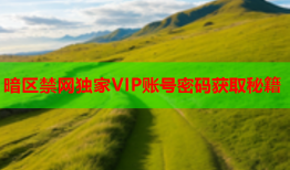 暗区禁网独家VIP账号密码获取秘籍