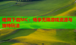 暗网下载MC：畅享无限游戏资源与独特玩法