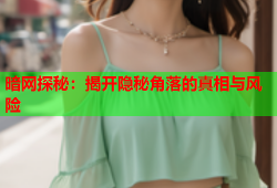 暗网探秘：揭开隐秘角落的真相与风险