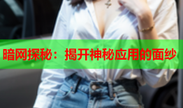 暗网探秘：揭开神秘应用的面纱