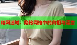 暗网迷城：隐秘网络中的真相与谎言