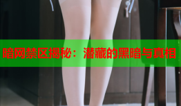 暗网禁区揭秘：潜藏的黑暗与真相