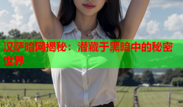 汉萨暗网揭秘：潜藏于黑暗中的秘密世界