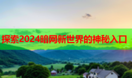 探索2024暗网新世界的神秘入口