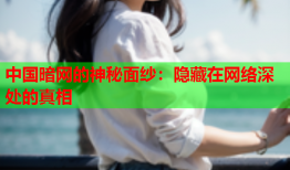 中国暗网的神秘面纱：隐藏在网络深处的真相