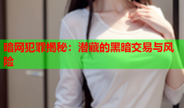 暗网犯罪揭秘：潜藏的黑暗交易与风险