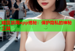 暗区禁网app揭秘：保护隐私的神秘工具