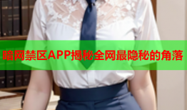 暗网禁区APP揭秘全网最隐秘的角落