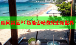 暗网禁区PC版能否畅游探索新世界