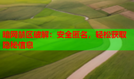 暗网禁区破解：安全匿名，轻松获取隐秘信息