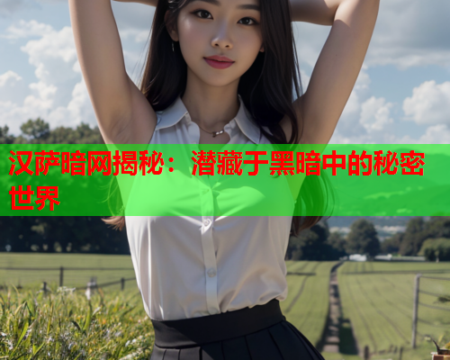 汉萨暗网揭秘：潜藏于黑暗中的秘密世界