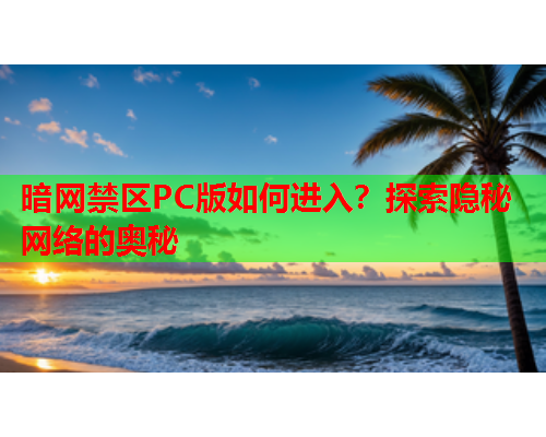 暗网禁区PC版如何进入？探索隐秘网络的奥秘