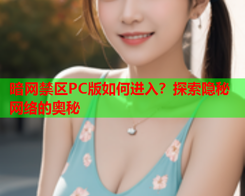 暗网禁区PC版如何进入？探索隐秘网络的奥秘