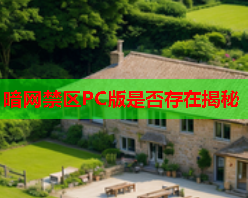 暗网禁区PC版是否存在揭秘