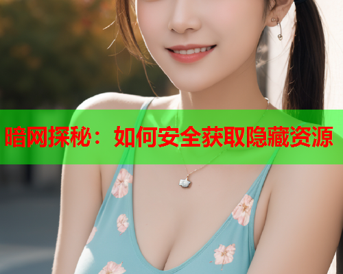 暗网探秘：如何安全获取隐藏资源