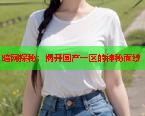 暗网探秘：揭开国产一区的神秘面纱