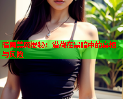 暗网禁网揭秘：潜藏在黑暗中的真相与风险