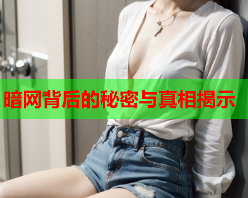 暗网背后的秘密与真相揭示