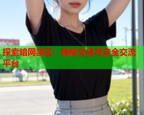 探索暗网禁区：隐秘交易与安全交流平台