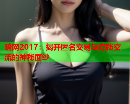 暗网2017：揭开匿名交易与隐秘交流的神秘面纱