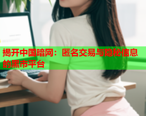 揭开中国暗网：匿名交易与隐秘信息的黑市平台