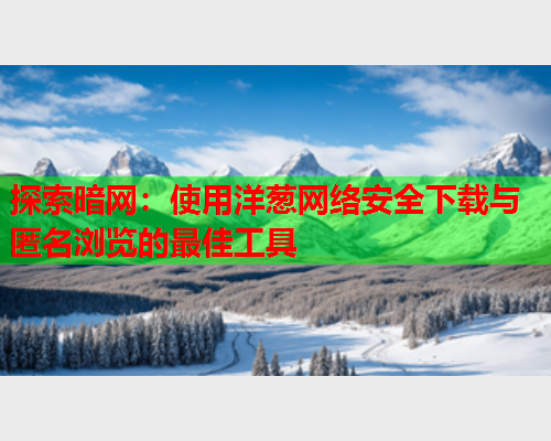 探索暗网：使用洋葱网络安全下载与匿名浏览的最佳工具